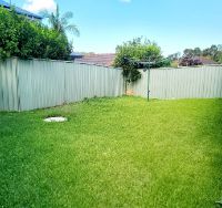 Harrington Park   Backyard