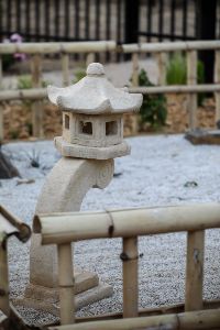 Lo Res SACARE The Gums-85