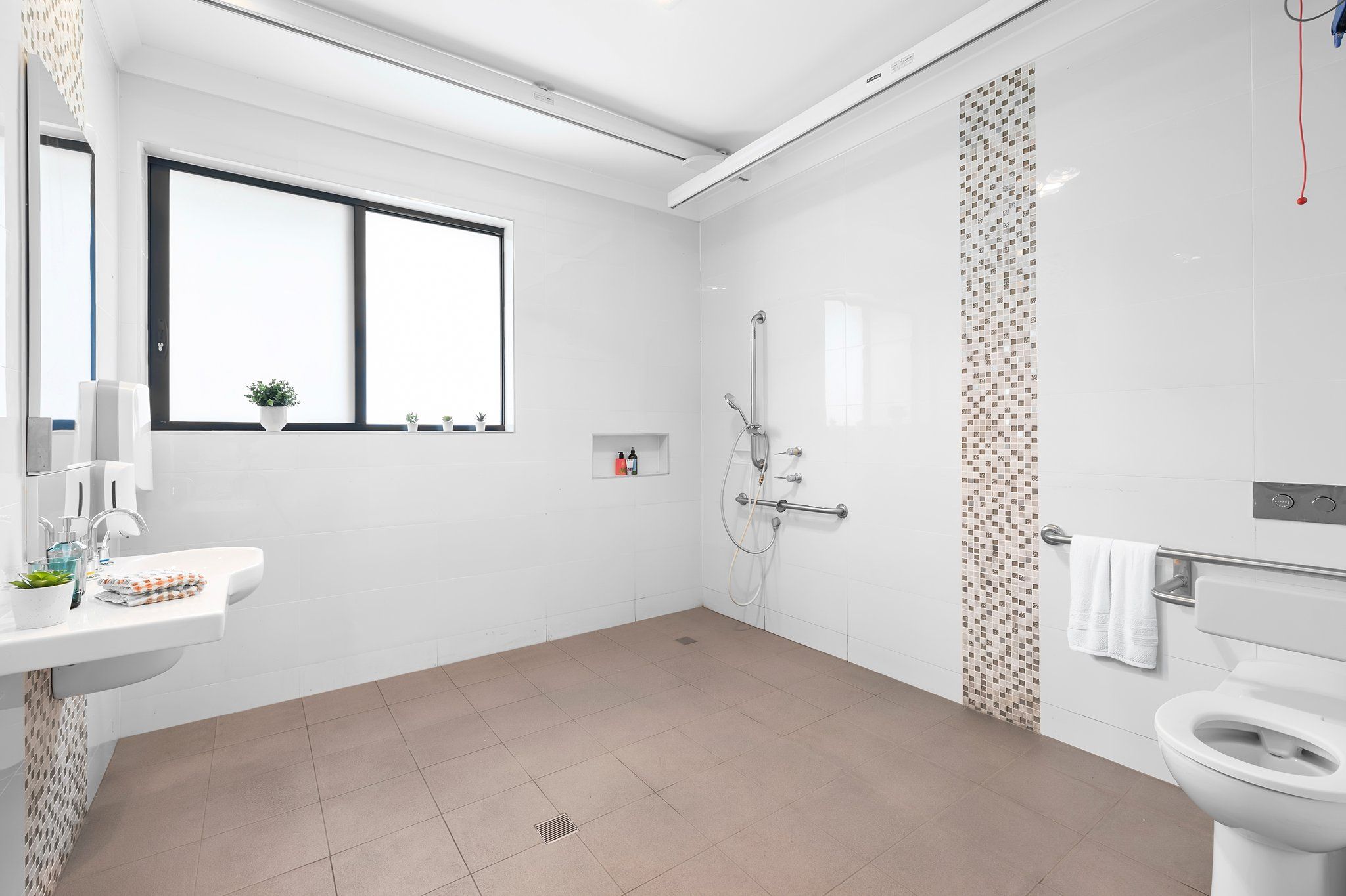 11 web-or-mls-4-pipehead-cr