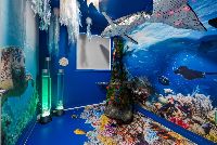 7 web-or-mls-4-pipehead-cr