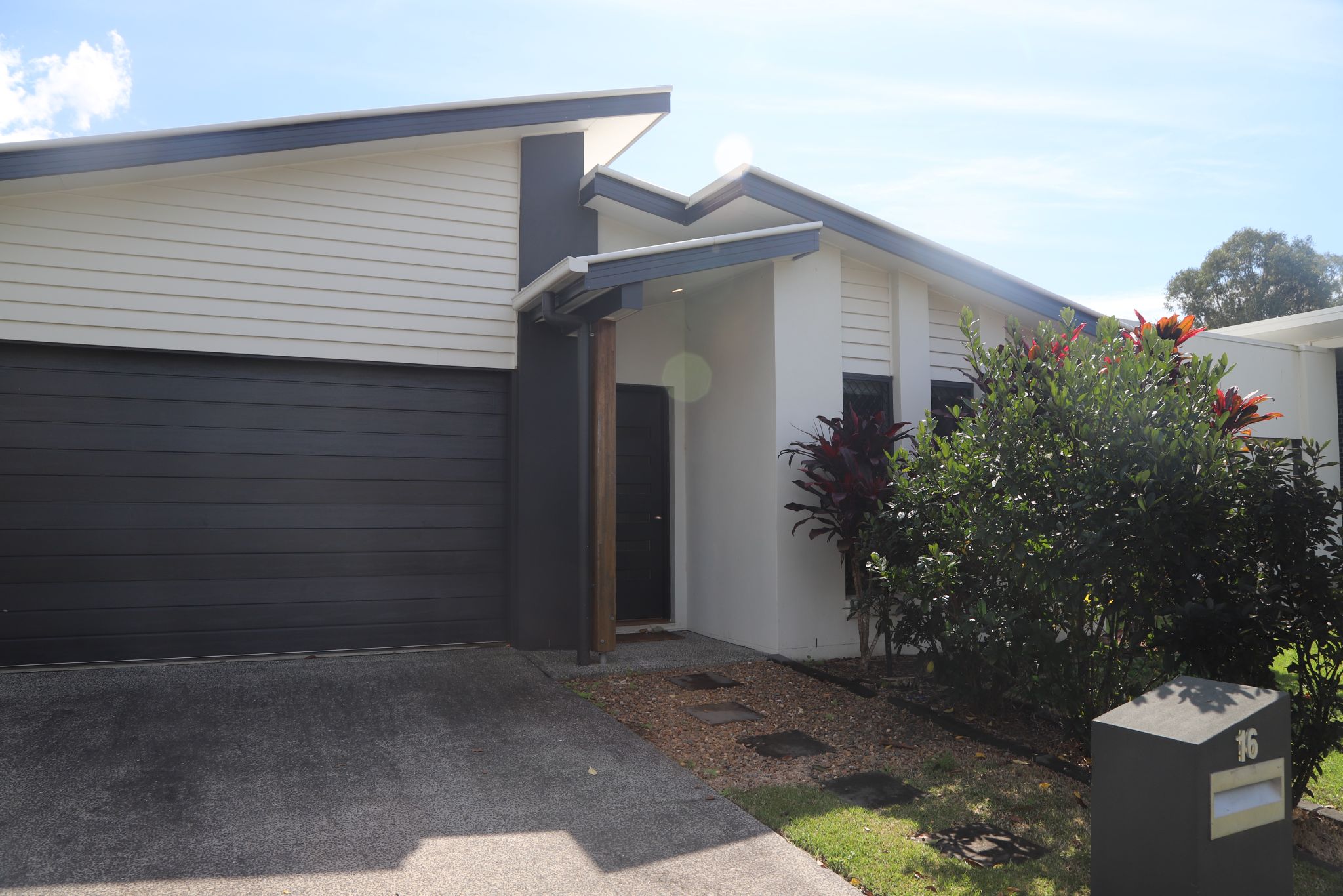 20240816115644 IMG_7754