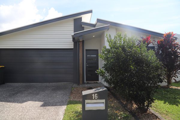 20240816115715 IMG_7758