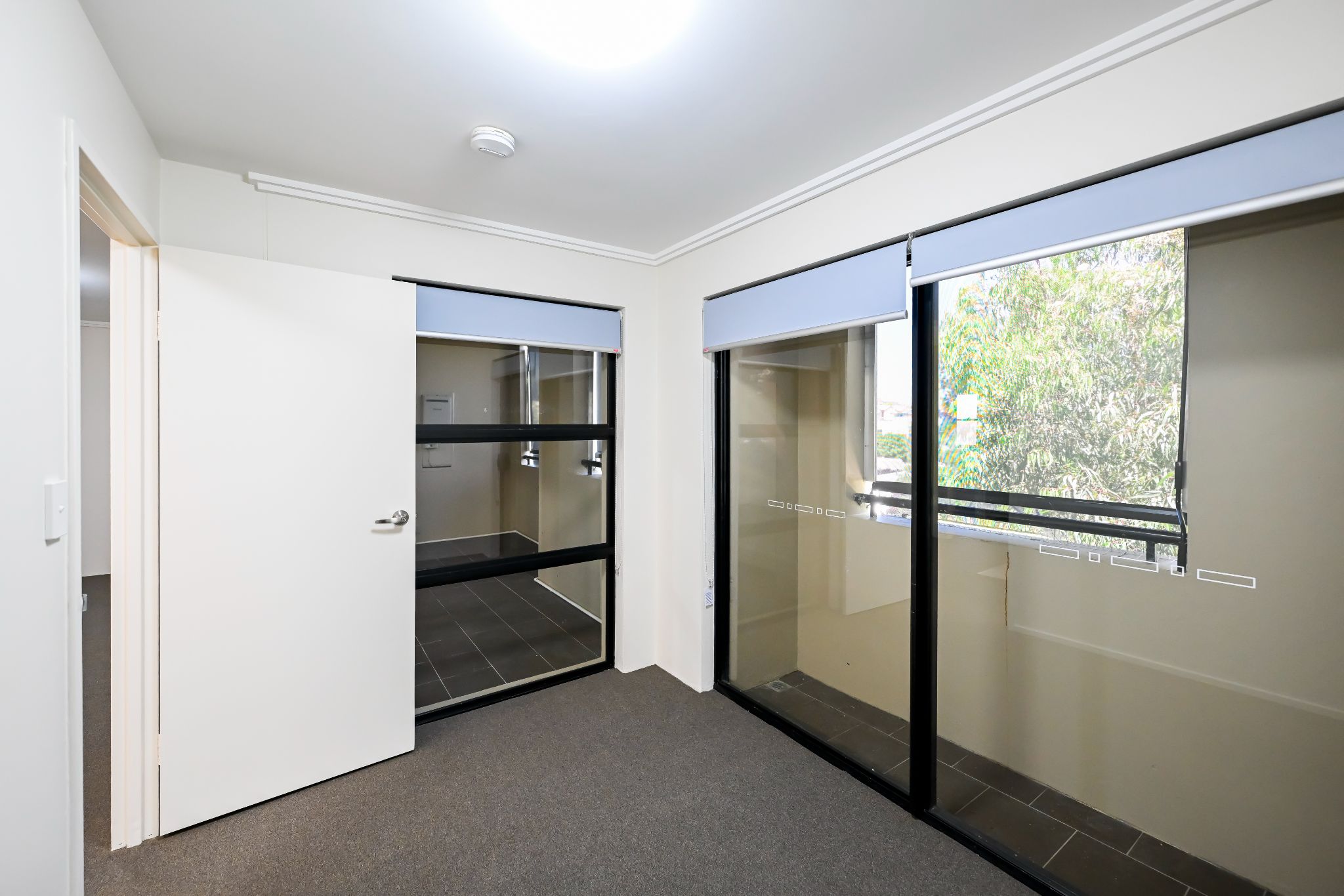 251119 344A Illawarra Road Marrickville_RSM_045_Print