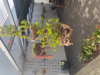 310E651E 4BD6-4C81-A041-8965FBA3FEA6