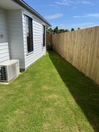 18 Lewis back yard grass area 31012025