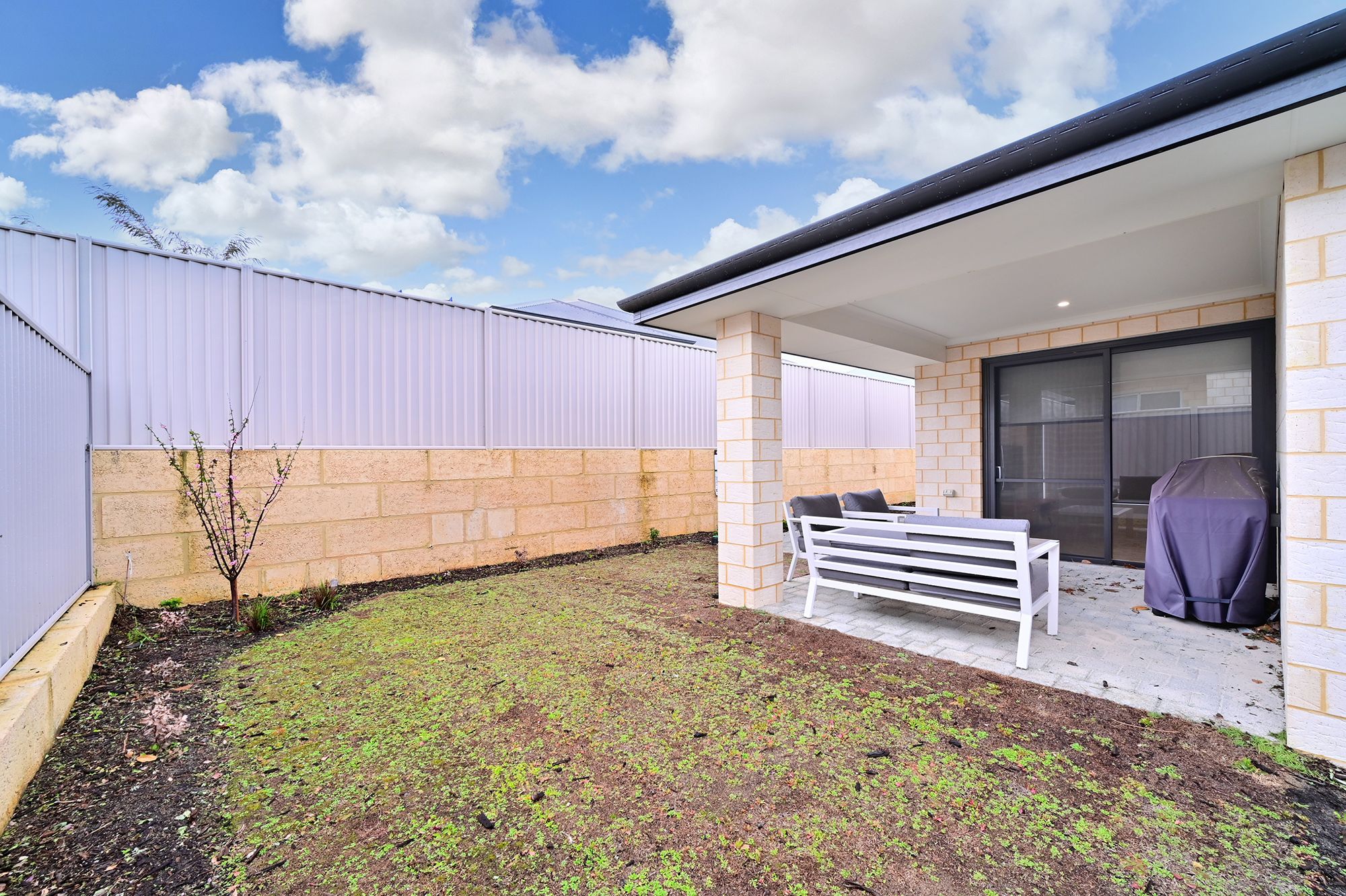 WEB Y25 515 4 Canvas Rd-30