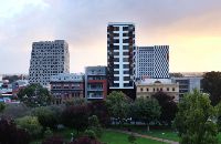 Spence on Light park