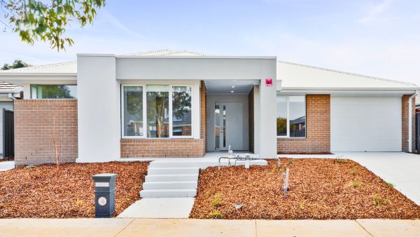 DALMATIAN  CRANBOURNE