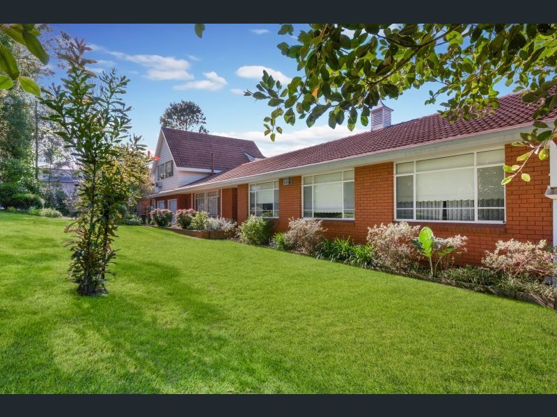 West Pennant Hills West Pennant Hills NSW Nest