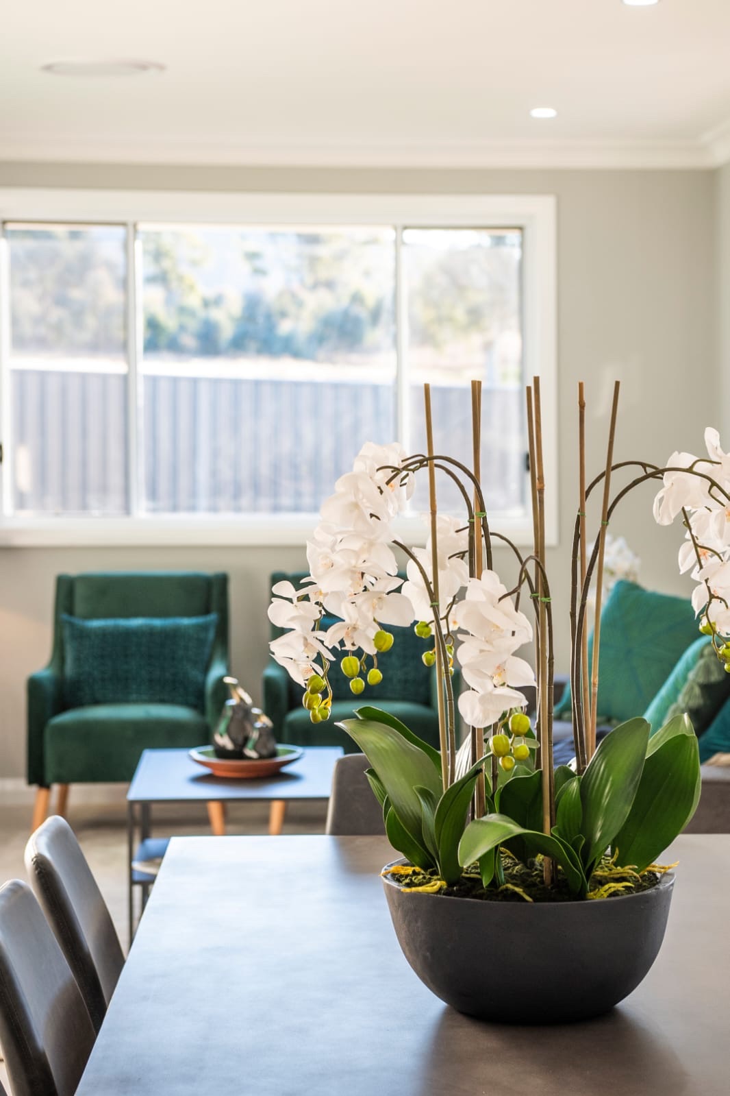 PHOTO 2021-02-09-17-11-49 2