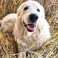 IMG 20230430_121531_591