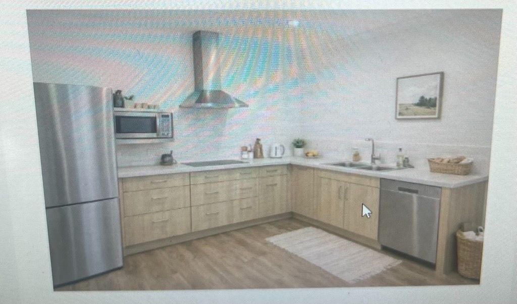 Image   2026-02-23T123239.606