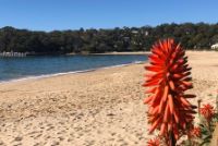 5d8e9d6d ede8-4287-9e4d-7f23a5543ff9