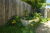 47 Messara Circuit Durack 3)