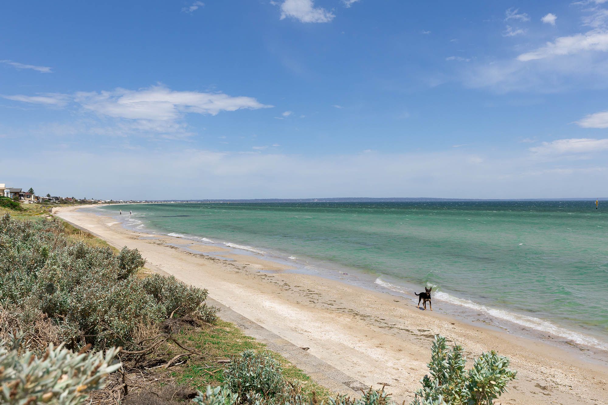 Aspendale Beach LR No Logo