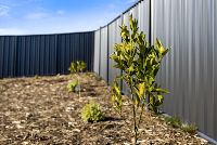 012 Open2view_ID949999-16_Sunningdale_Close