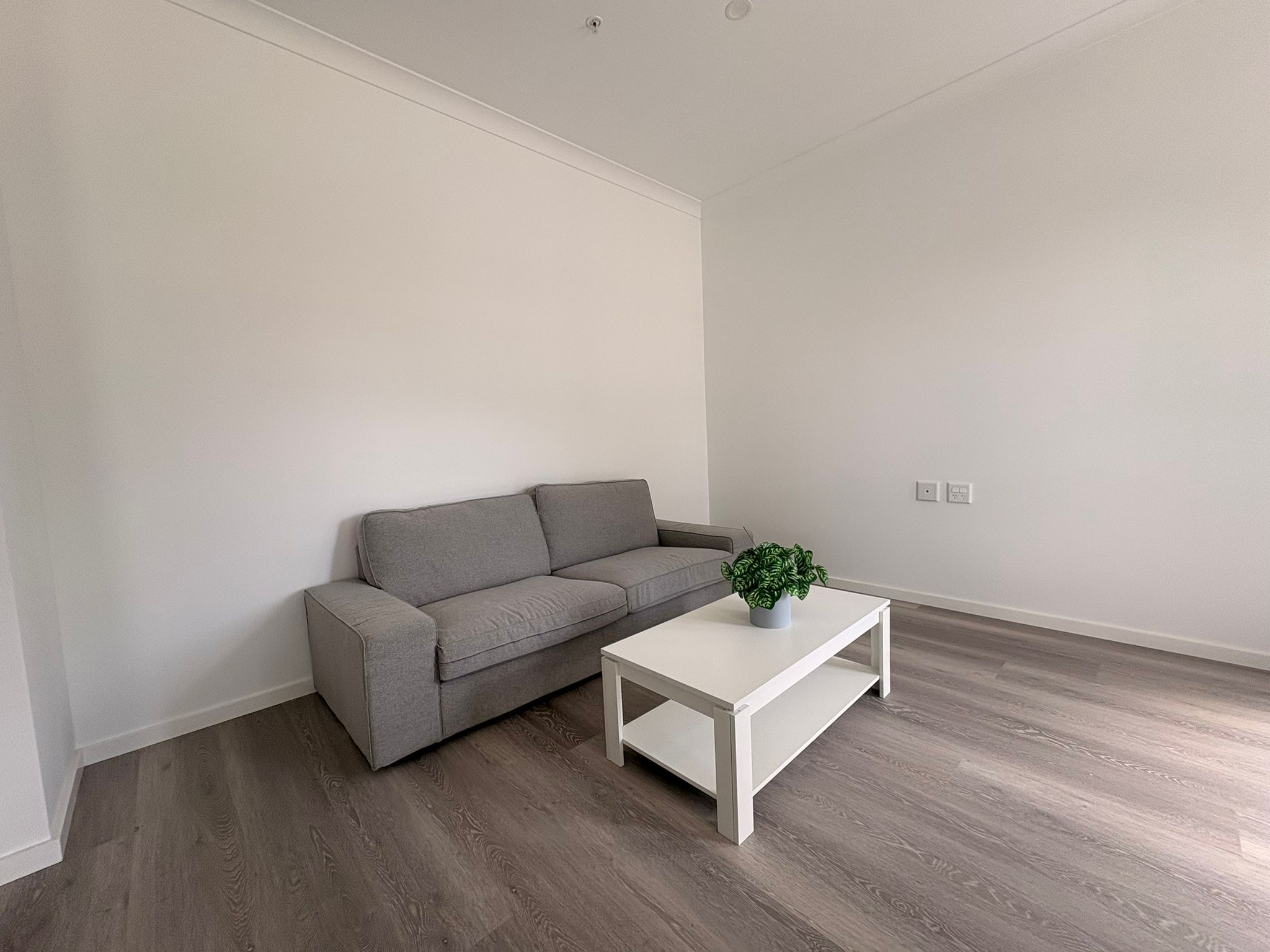 WhatsApp Image 2026 02-06 at 3.49.21 PM