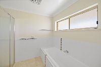 176275369856175715 rsd