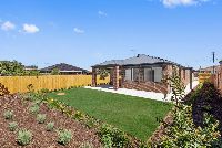 Lois   Backyard 2 LR No Logo