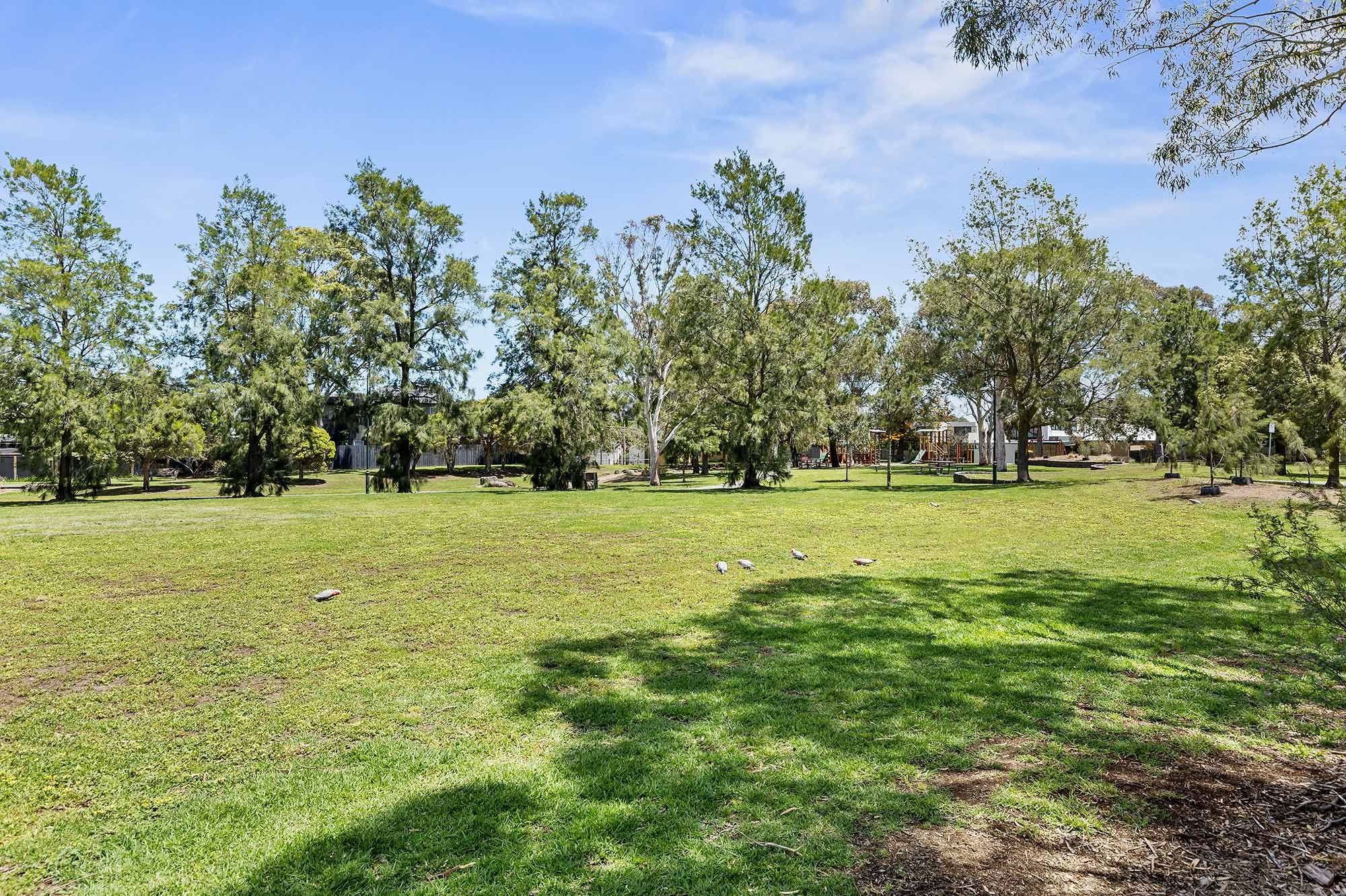 Northcote   Rubie Thomson Reserve LR No Logo