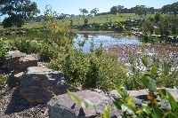 Nature at Aston Hills