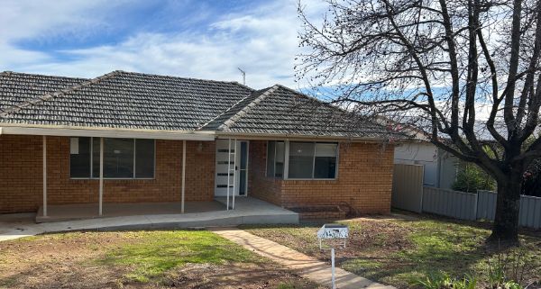 IMG 2935 Kibbler (2)