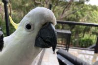 c550a77b b534-4f3c-9cde-6ce962ce5631