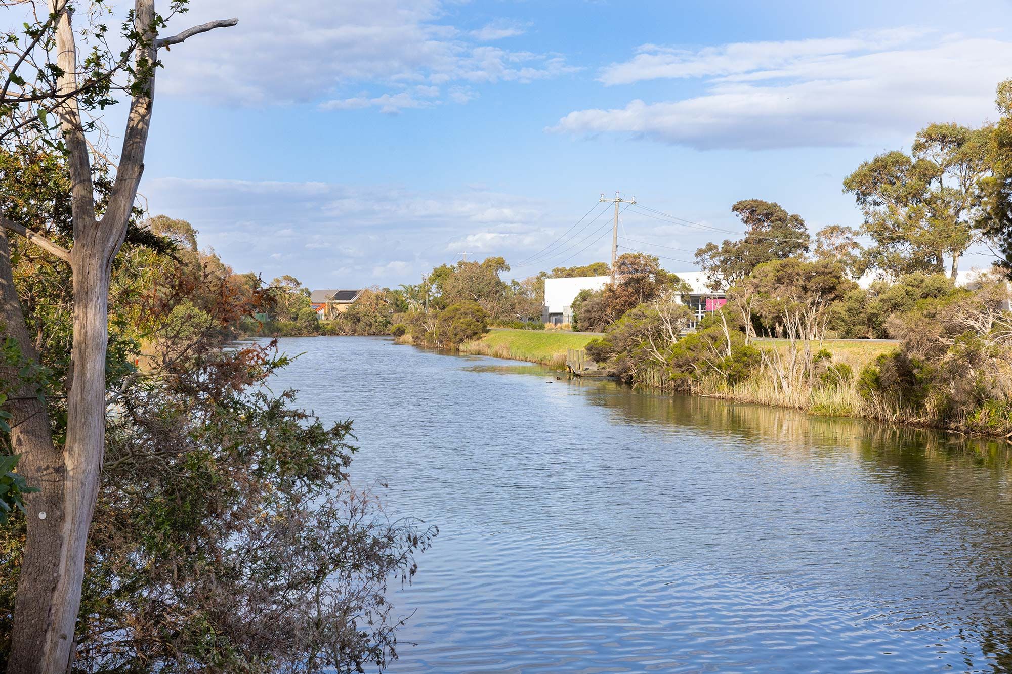 Carrum   Kananook Creek LR No Logo