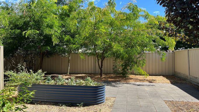 1 20 Margaret St - Rear yard 1 1