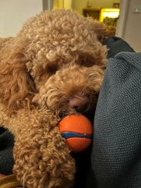 kp2zw6pcnr9oiusbhgkf